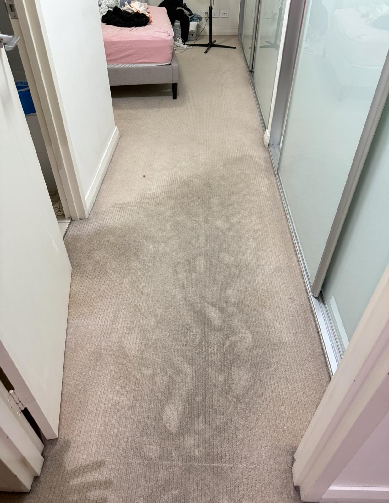 Before Living Room Carpet Deep Steam Extraction