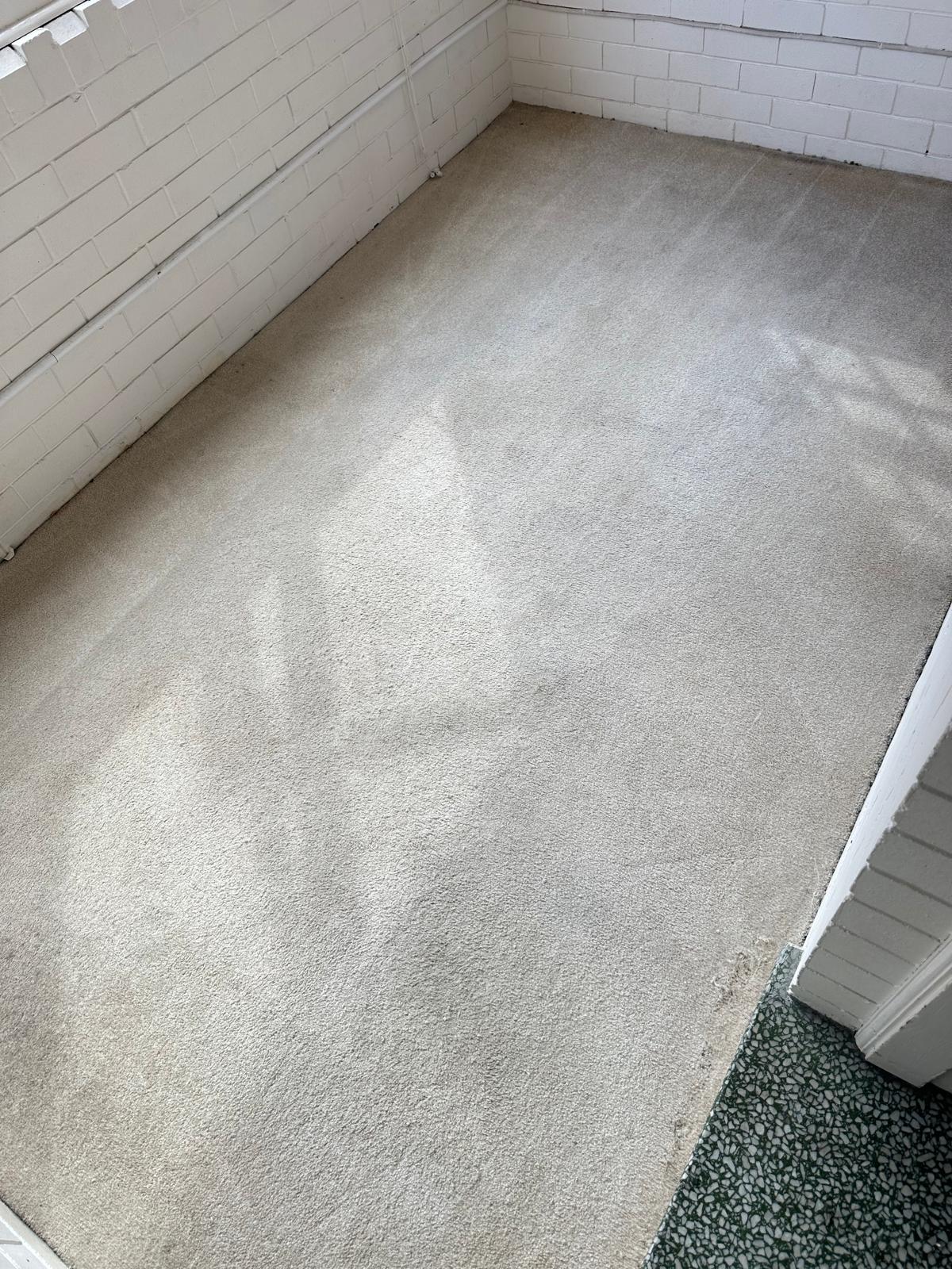 After High-Traffic Bedroom & Hallway Carpet Steam