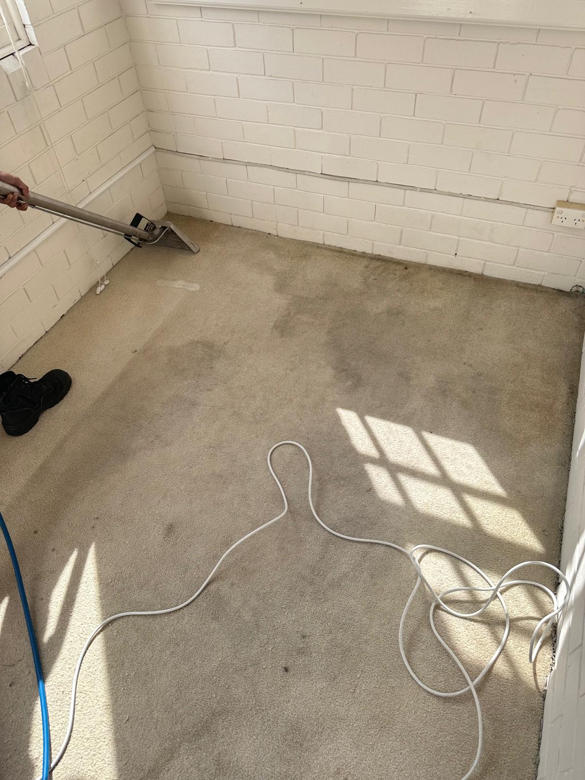 Before High-Traffic Bedroom & Hallway Carpet Steam