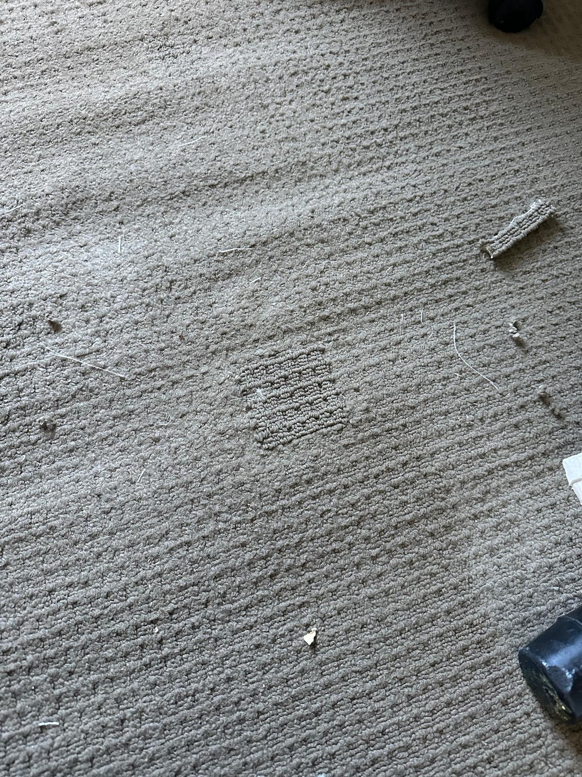 Before Carpet Iron Burn & Seam Patch Repair