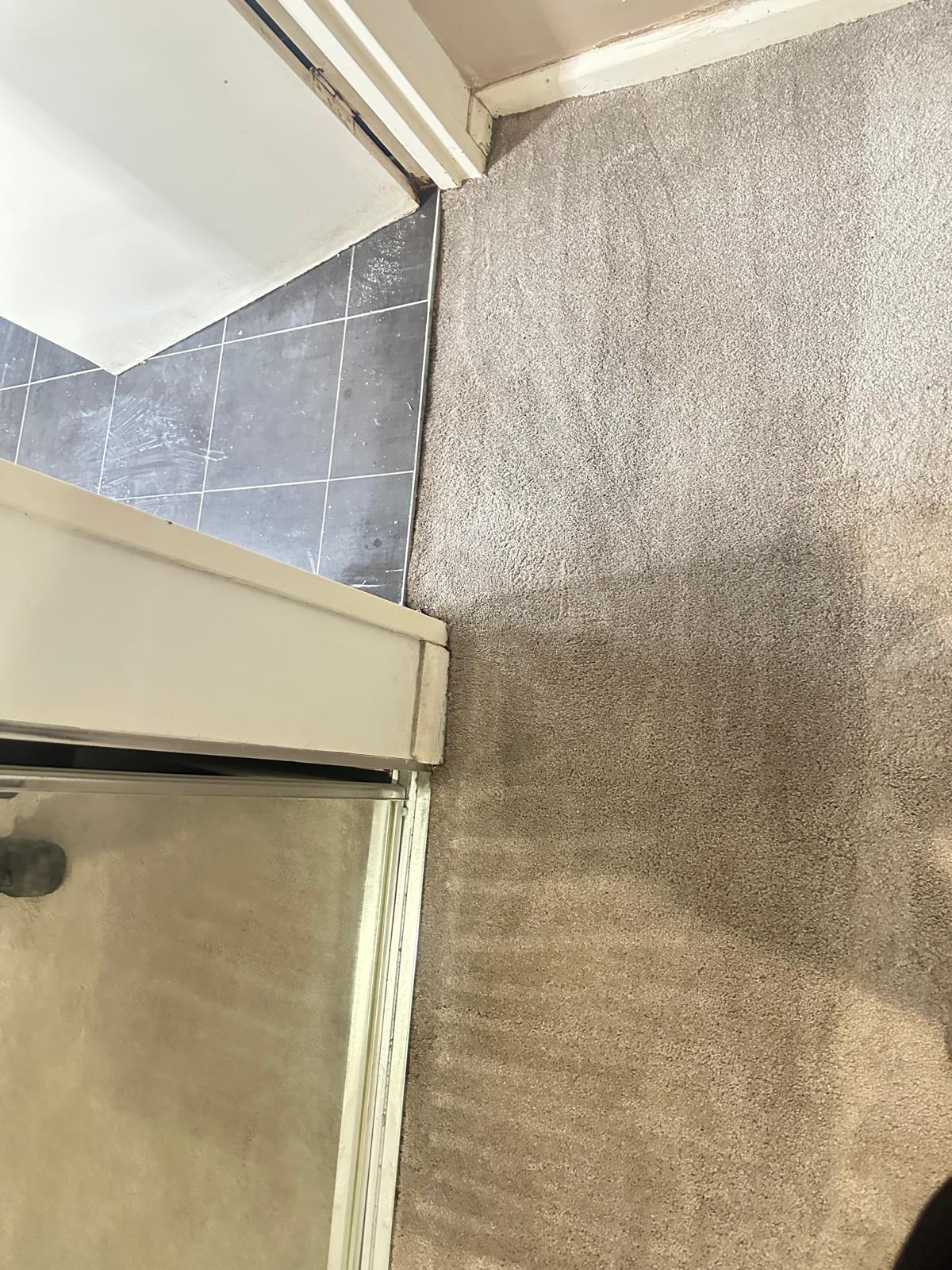 After Liquid Spill & Water Mark Handover Clean