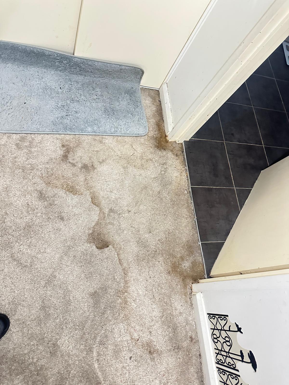 Before Liquid Spill & Water Mark Handover Clean