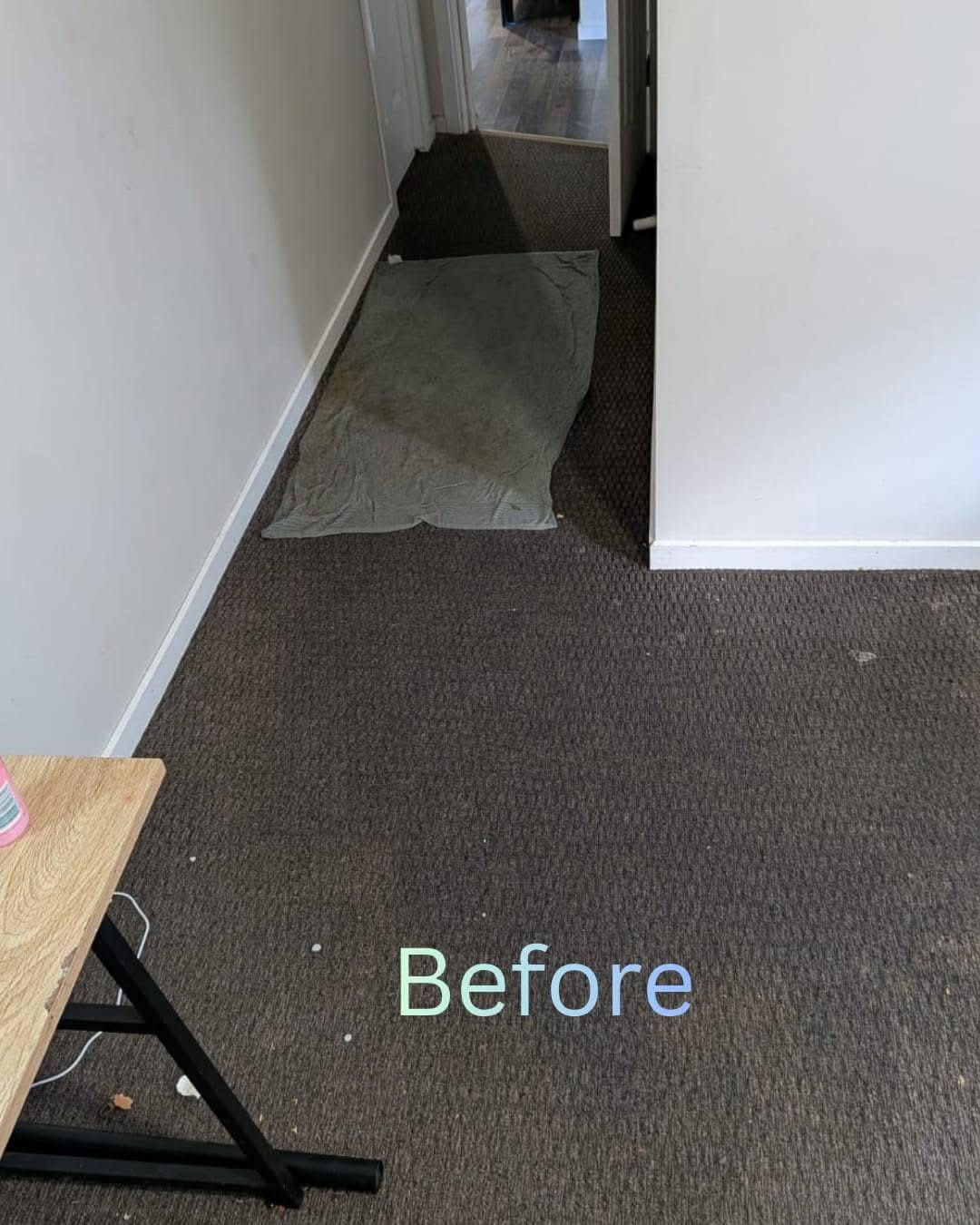 Before Living Room Carpet Deep Steam Extraction