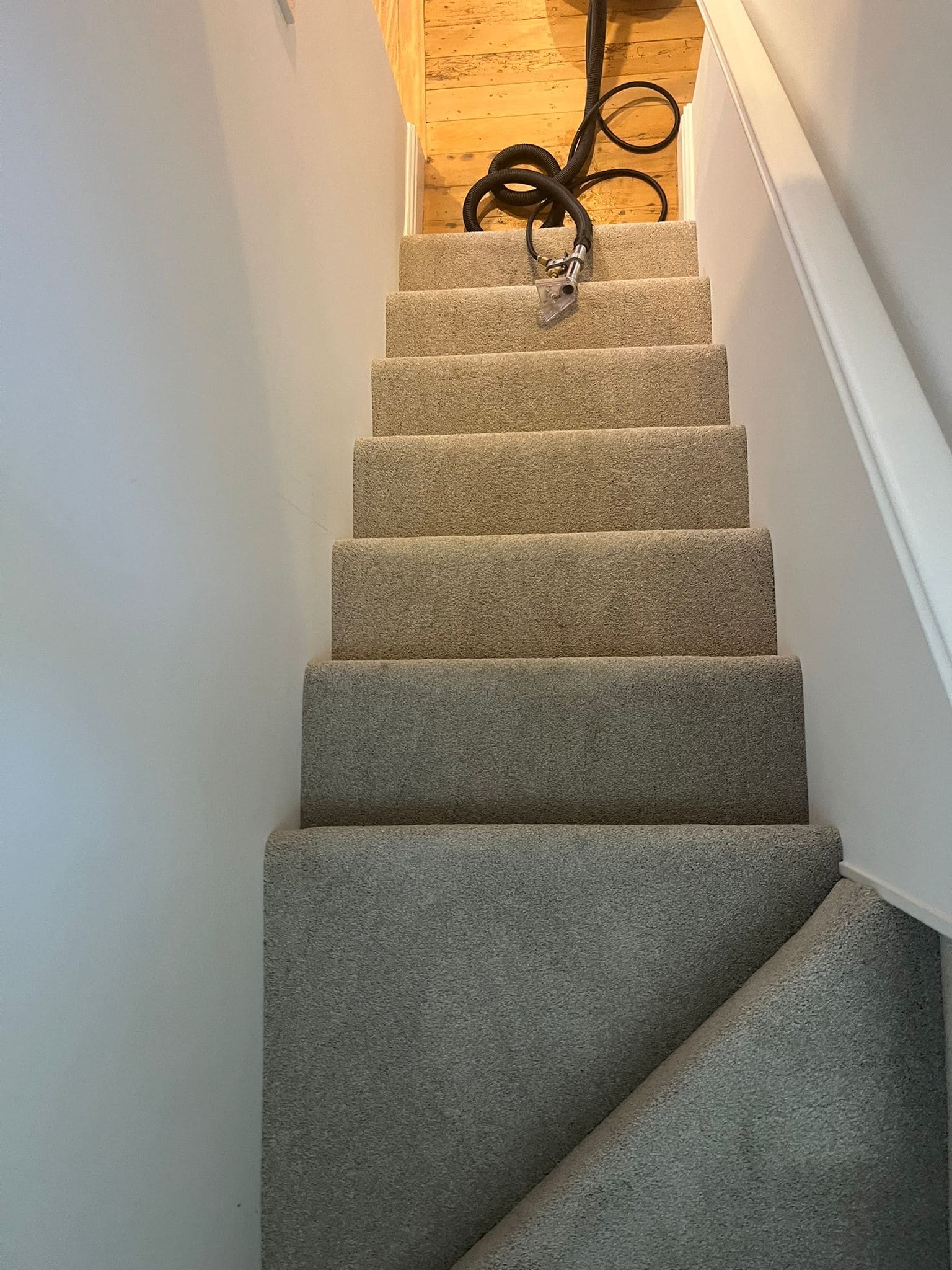 Before Multi-Level Staircase Carpet Steam